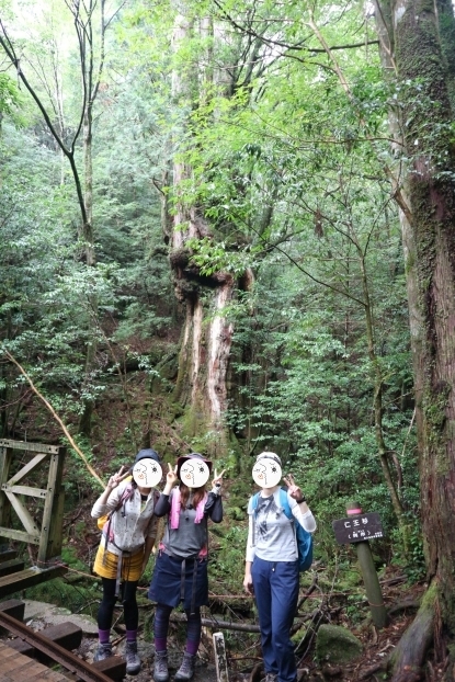 日本のおすすめスポット 屋久島トレッキング 9月下旬の服装 持ち物 まゅとすのブログ